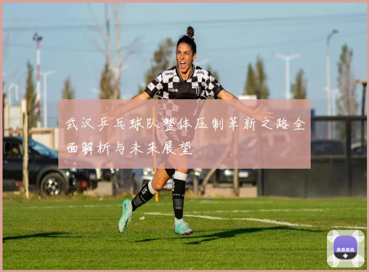 武汉乒乓球队整体压制革新之路全面解析与未来展望