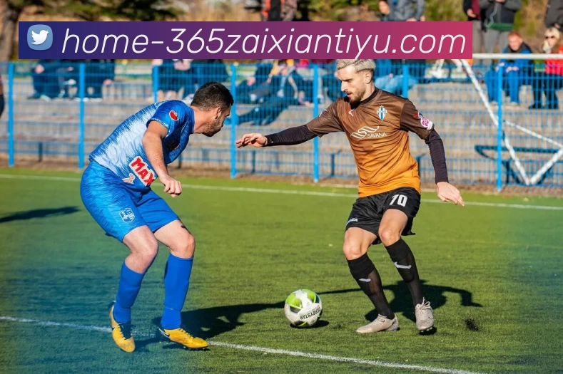 beat365平台生态图